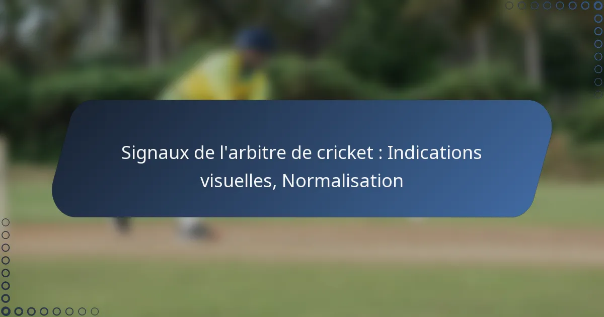 Signaux de l’arbitre de cricket : Indications visuelles, Normalisation