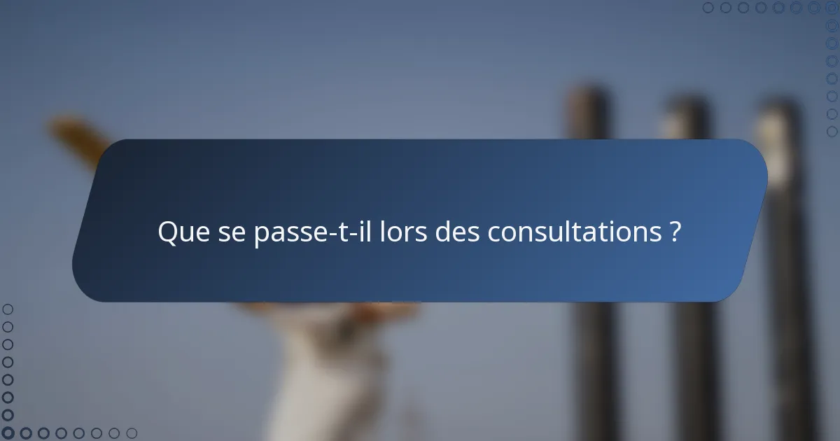Que se passe-t-il lors des consultations ?