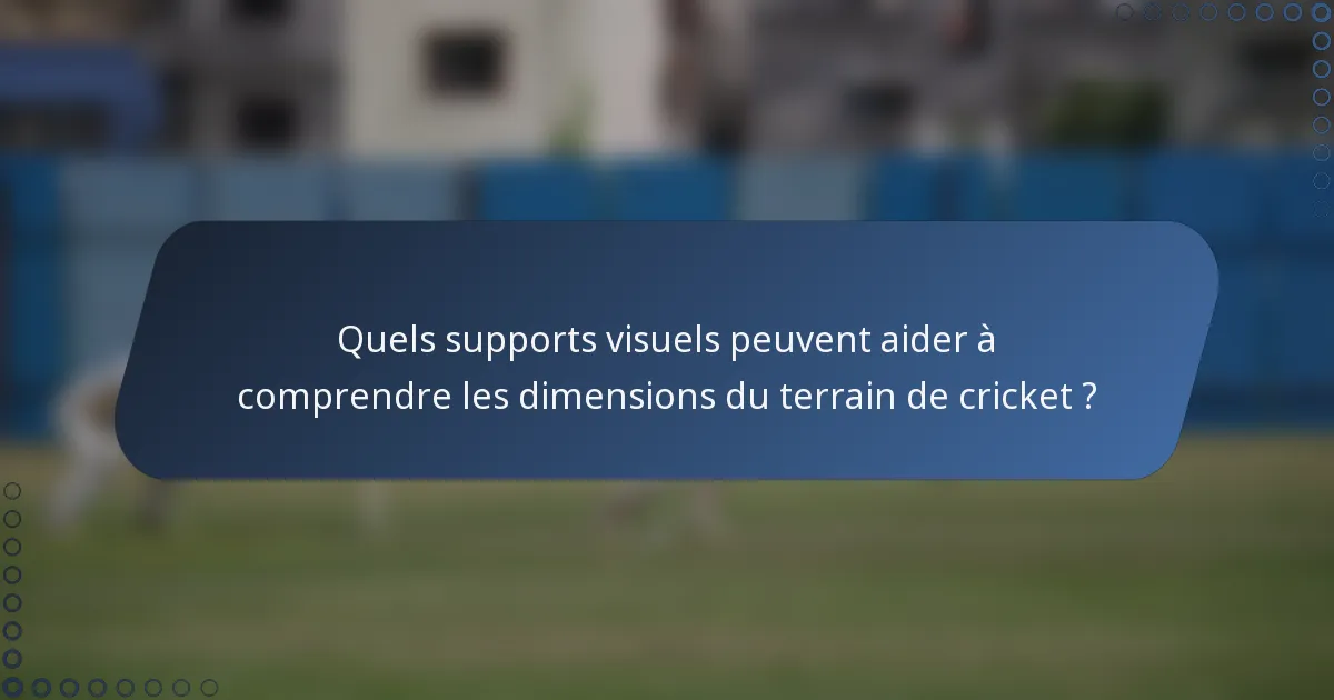 Quels supports visuels peuvent aider à comprendre les dimensions du terrain de cricket ?